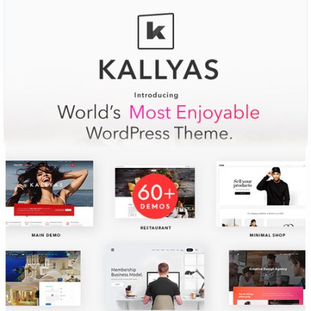 KALLYAS – Creative eCommerce Multi-Purpose WordPress Theme