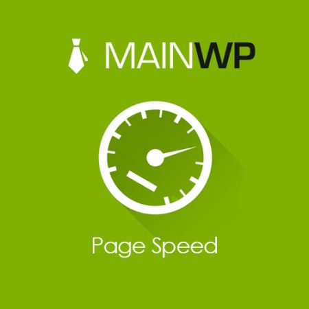 Mainwp Page Speed