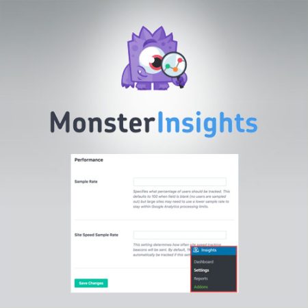 Monsterinsights Performance Addon