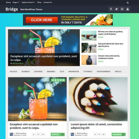 MyThemeShop Bridge WordPress Theme