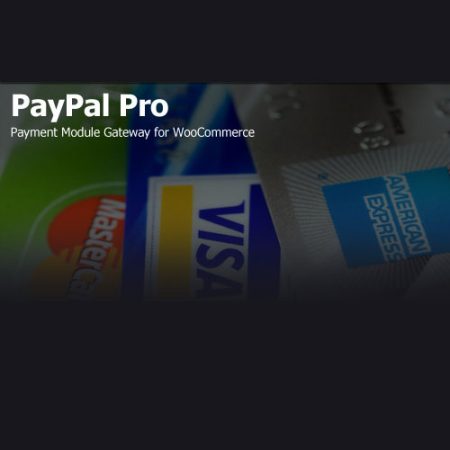 PayPal Pro Payment Module for WooCommerce - Storewp.net -... Very cheap price Original product ! We Purchase