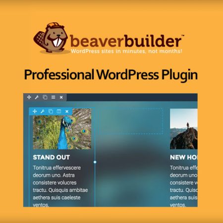 Beaver Builder Professional Wordpress Plugin