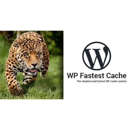 Wp Fastest Cache Wordpress Plugin