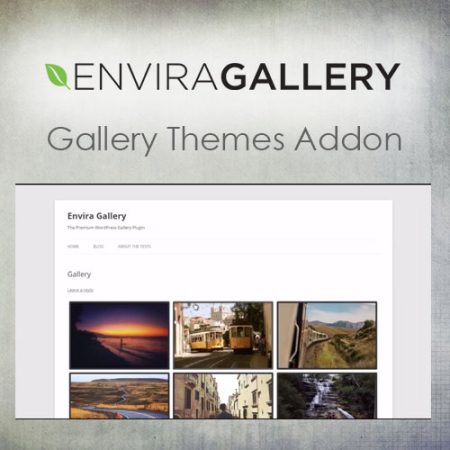 Gallery Themes Addon